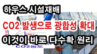 하우스 시설재배 CO2 발생을 통한 광합성량 확대 이것이 바로 다수확의 과학적 원리(탄산가스 발생량과 광합성…