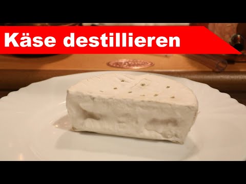 Käse destillieren? - kann man Aroma aus Lebensmitteln gewinnen? - diSTILLed