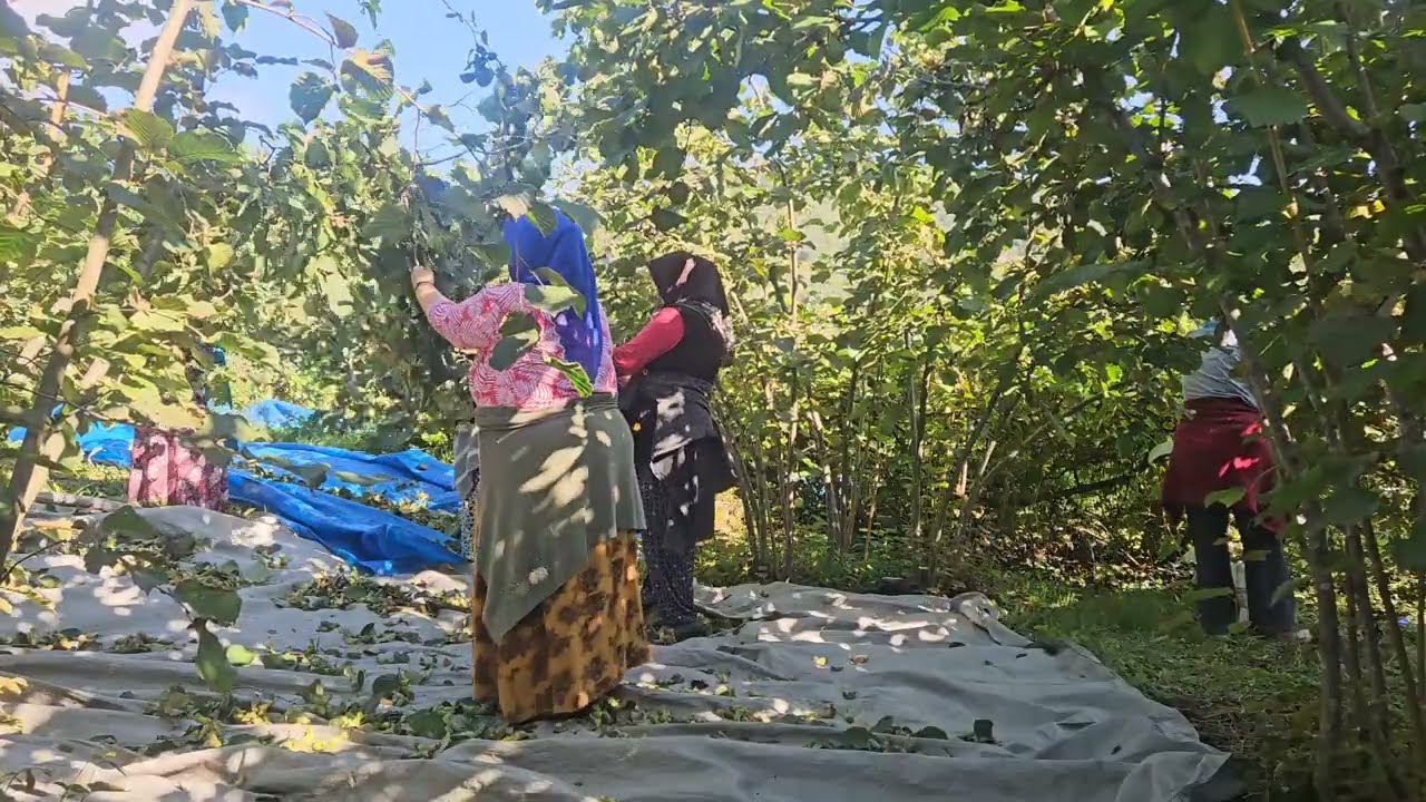 🌿 DOĞAL KÖYDE ZOR GÜNLER 😮‍💨💪‼️