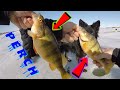 Video Thumbnail for THIN ICE / Ice Fishing PERCH / Last Adventure And Get A Giant Fish!