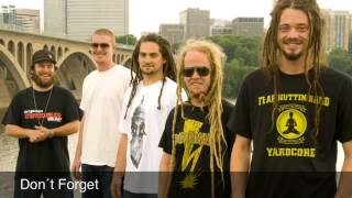 Don´t Forget - SOJA