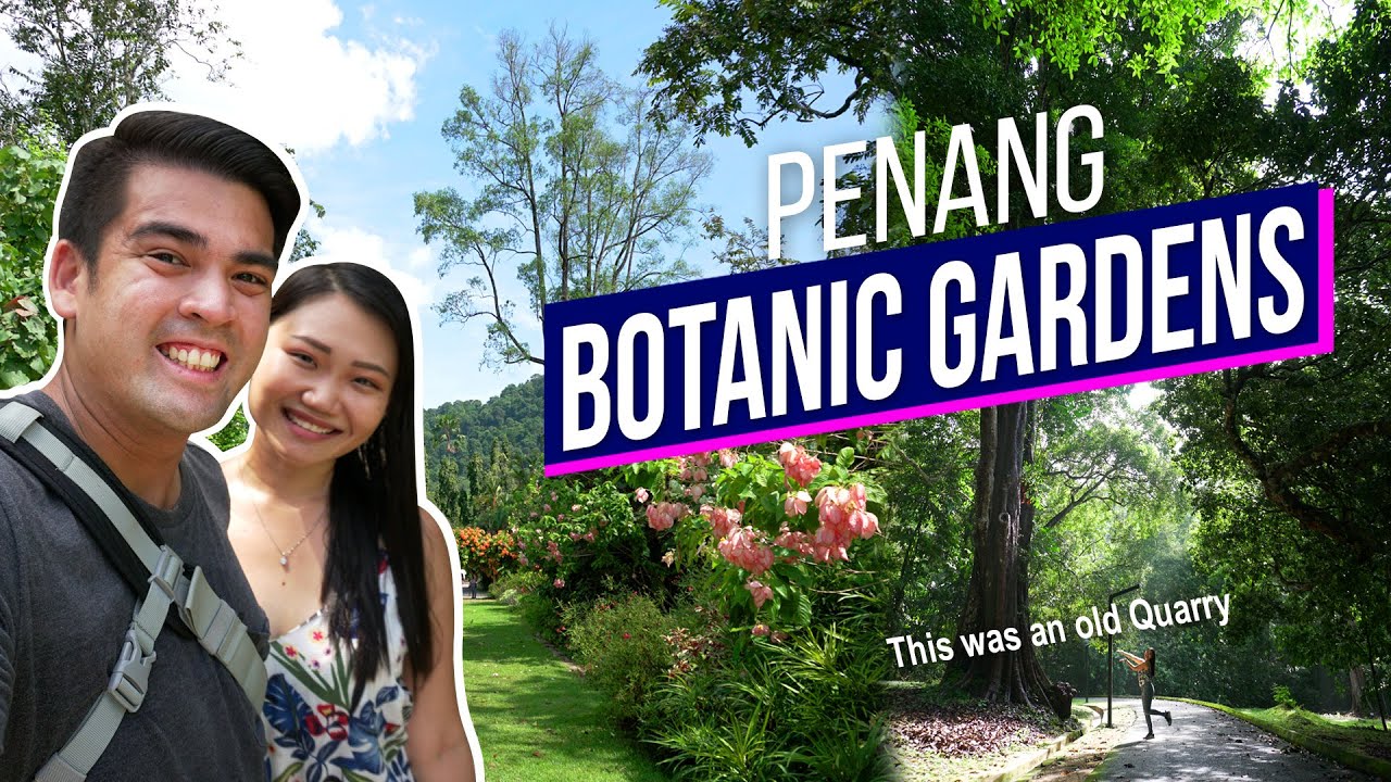Two travel enthusiasts explore the enchanting Penang Botanical Gardens.