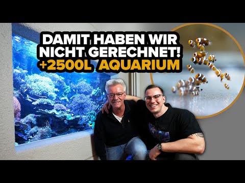 We didn't expect this! - 2500L AQUARIUM + SURPRISE