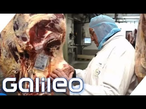 Dry Aged Beef: Das Fleisch für Steakliebhaber | Galileo | ProSieben