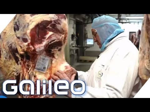Dry-aged beef: The meat for steak lovers | Galileo | ProSieben