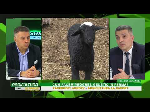 Agricultura la Raport Ovidiu Ghinea P2 13 04 2023