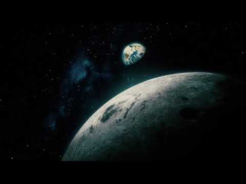 Relax with luminous beings!