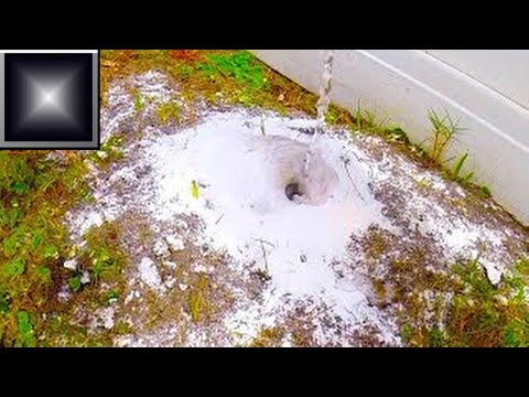 download lagu mp3 mp4 Baking Powder Ants, download lagu Baking Powder Ants gratis, unduh video klip Baking Powder Ants