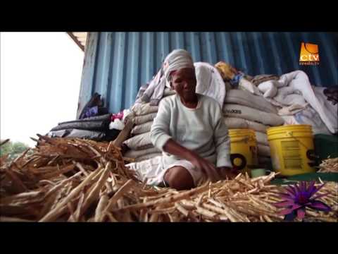 Cornelia Pater - Kalahari New Hope (2)