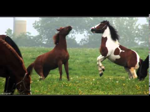 Bergisches Heimatlied