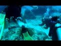 Bali Hai Diving Adventures PADI Open Water Diver ...