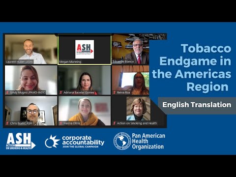 Tobacco Endgame in the Americas Region (English Version)
