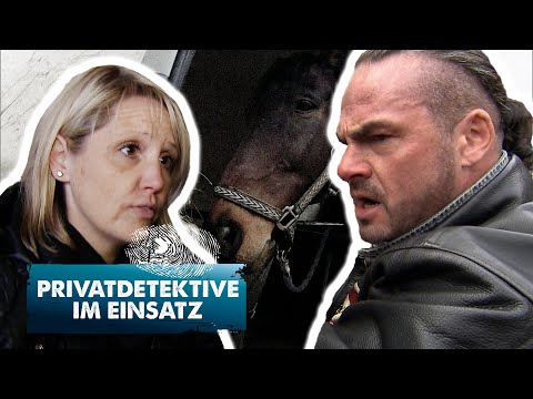 ANTON ist WEG! Meine Tochter leidet! - Carsten Stahl auf den Spuren eines verschwundenen Pferdes