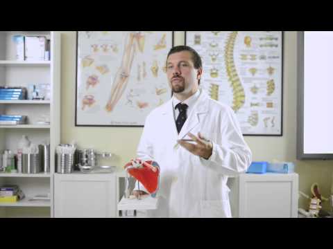 Nella malattia del ginocchio, che i farmaci Mal di testa stringendo la colonna vertebrale cervicale