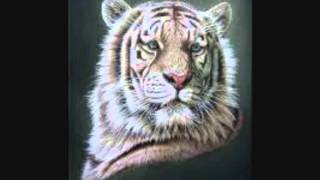 MFSB....SUNNIN & FUNNIN...