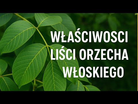 The Amazing Properties of Walnut Leaves – Natural First Aid Kit Part 1