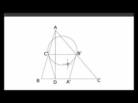 GEOME.RADU - PATRULATERUL