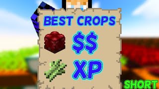 What Is The Best Crop For Xp Or Money | Hypixel Skyblock