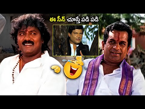 Brahmanandam All Time Super HIT Comedy Scenes | Brahmanandam Back2Back Comedy Scenes |#tollywood