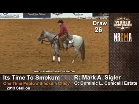 Its Time To Smokum 2019 NRCHA world show Hackamore Prelims
