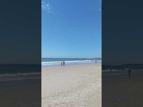 💎🤍Regalo de la Naturaleza 🏞️ Antoniópolis,  La Paloma, Rocha, Uruguay 🌊🐳