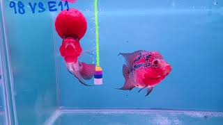 Download lagu 98 mp3 Download lagu 98 mp3