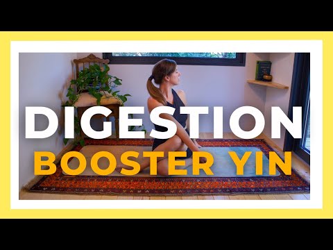 Yin Yoga Class Digestion | Better Digestion Yoga for Liver, Gall Bladder, Kidneys, Stomach & Spleen