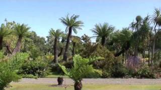 preview picture of video 'Logan Botanic Garden - Garden Highlights'