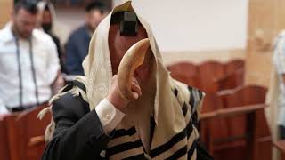 ברכה נדירה - הרב יוסף צ. בן פורת (הרב יוסף צבי בן פורת) - התמונה מוצגת ישירות מתוך אתר האינטרנט יוטיוב. זכויות היוצרים בתמונה שייכות ליוצרה. קישור קרדיט למקור התוכן נמצא בתוך דף הסרטון