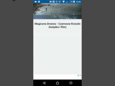 Test Wiedzy #7 Magiczne Drzewo Czerwone Krzesło