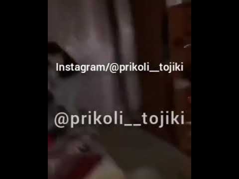 Занаки шудора капидан 2020