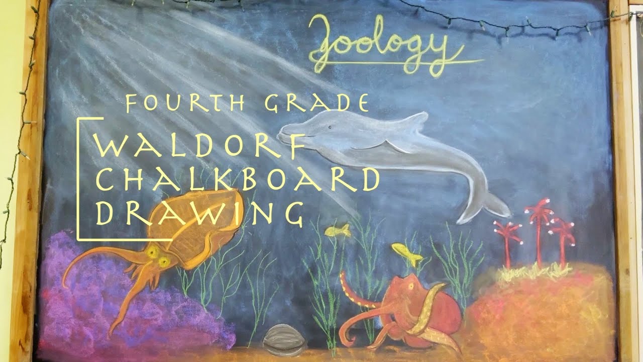 Fourth Grade Waldorf Chalkboard Drawing - Zoology