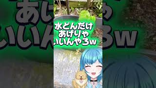 はじめての家庭菜園🌱