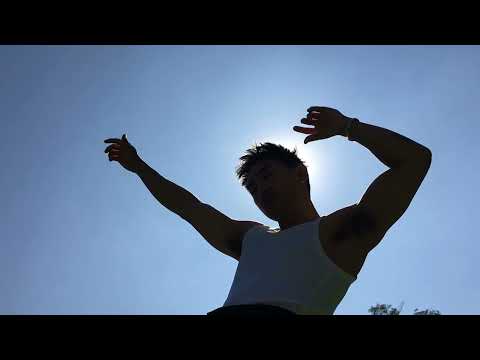 Sylo - do u like it? [visualizer]