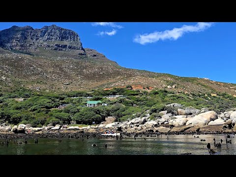 A Beautiful 13 km light Downwind from Oudekraal  in a SW wind - Cape Town