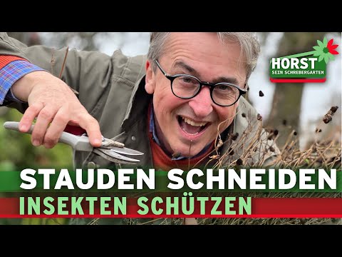 Stauden im Frühjahr zurückschneiden und Rücksicht auf die Natur nehmen | Horst sein Schrebergarten