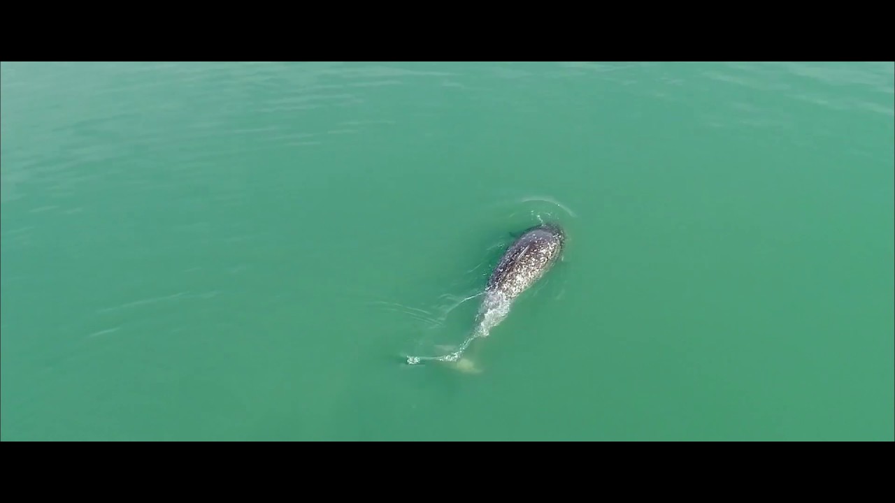 First Prize Winner - Aerial Photography (Video) FLORIAN LEDOUX - France - YouTube