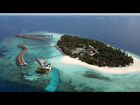 Videos del Robinson Noonu 5★ en Manadhoo, MaldivasVer MásVerPrecios20CerrarConsulta por Whatsapp 🇦🇷BookingTripadvisorExpediaAgodaTravelocityOrbitzPricelineTripSkyscannerDespegarKayakHotelesDestiniaTrivagoAlmundoLastminuteHotwireCheapticketsTuiWotif
