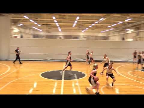 BTSM HNMKY - HelmiBasket 15.1.2017 I-II erat