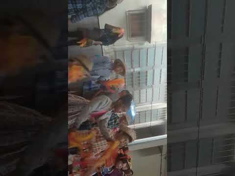 festa junina na minha escola(apiaca ou espírito santo)👧🏽✔️
