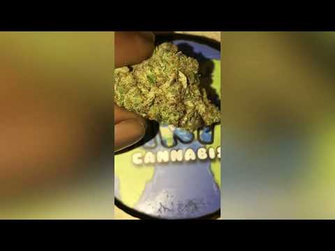 Modified Root Beer Strain