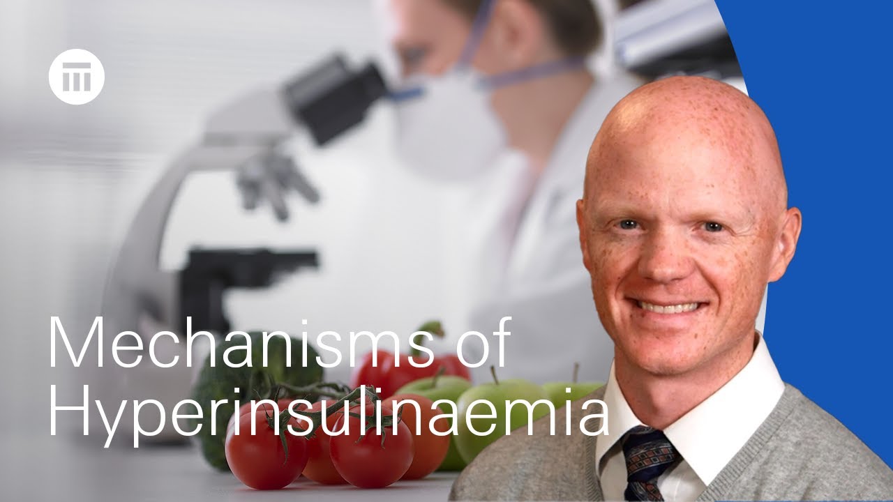 Hyperinsulinemia causes by Benjamin Bikman