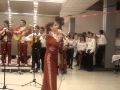 Mariachi Vaqueros- Me Gustas Mucho 