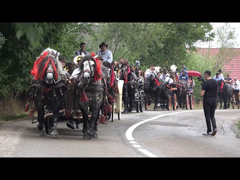 Nunta lui George si Daniela Maria Tomut - 2022 Nou!!!