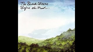 Black Crowes - I Ain&#39;t Hiding
