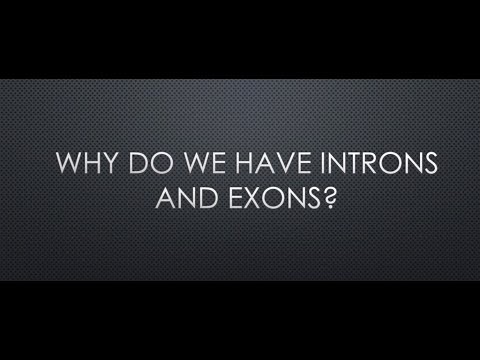 Why do we have introns and exons?