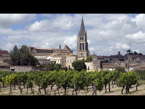Reise: Bordelais. Wo die feinen Weine wachsen
