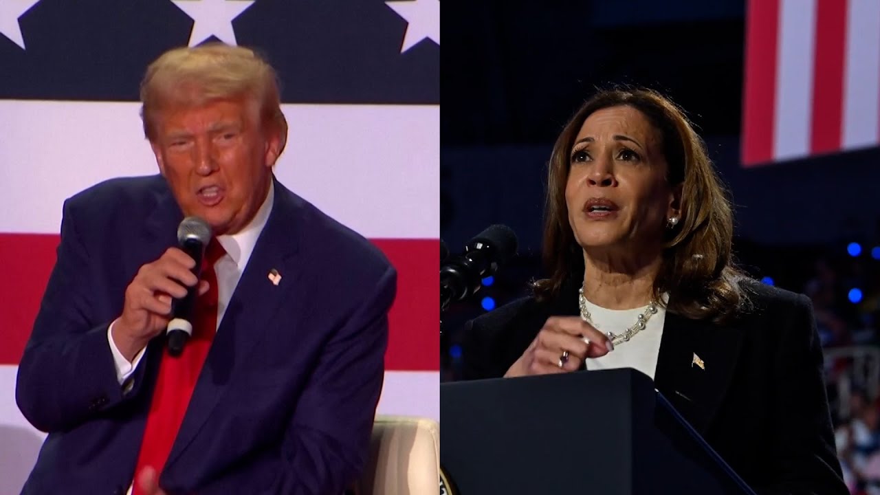 The real impact of AI on the 2024 US elections