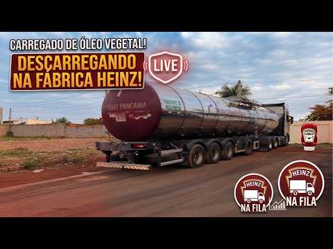 AO VIVO : AGUARDANDO PARA DESCARREGAR