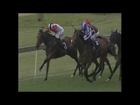 Champagne Haze Turffontein 21 January 2017